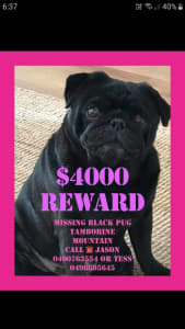 Missing from Mount Tambourine..
