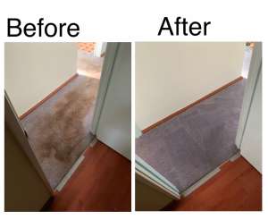Carpet Cleaning | Couch Cleaning | Tile & Grout Cleaning