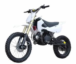 Wanting to buy a pit bike 110cc or a 125cc under $1000