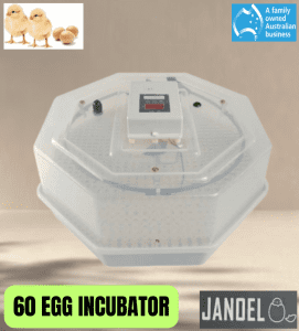 60 Egg Incubator Chicken Duck Quail Etc. - Pickup / Delivery 