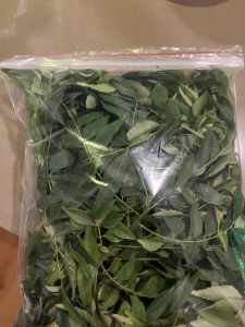 Curry leaves, fresh and organic.