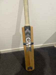 Gunn and moore catalyst cricket bat