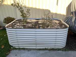 Free garden bed and soil