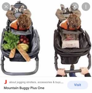 mountain buggy plus one for sale