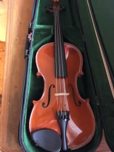 Gliga III 4/4 Violin Outfit