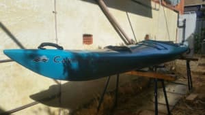 Large sturdy Carolina KAYAK Perception Power Paddle