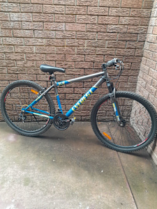 Mountain bike Everest 29XCR Disc 21 speed Men's
