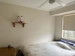 Room share for rent