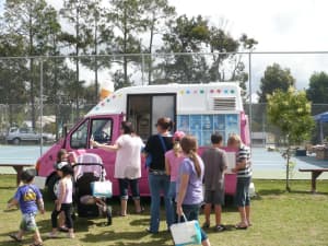 Ice Cream Vans Business for sale (2)
