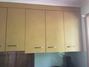 Kitchen cabinet and appliances
