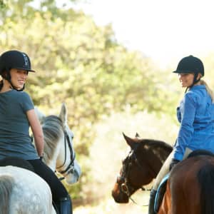 Horse Training & Riding Lessons