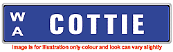 COTTIE License Plate