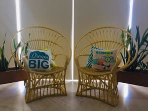 2 Modern Large Yellow Peacock Cane Chairs 