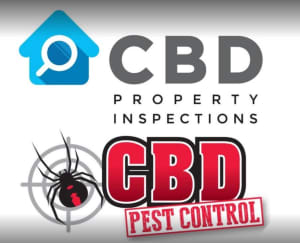 CBD Brisbane Pest Exterminators Services Available 24 Hrs For You