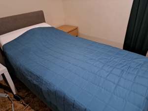 Electric bed and other items