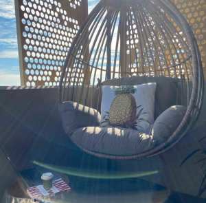 Osmen Koala Outdoor Hanging Chair