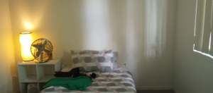 Room for international students in Calamvale $120 