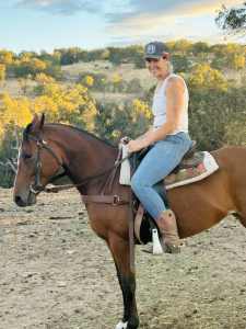 Registered Australian Stockhorse mare 5 yo