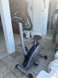 Celsius hawk exercise cheap bike