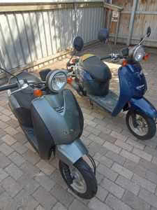 Honda Today 50cc scooters 