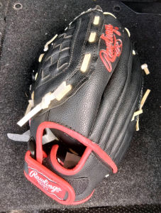 rawlings pl120sb