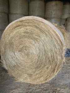 Grass Hay Rounds 5x4