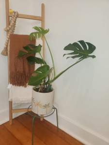 Sage green plant stand 