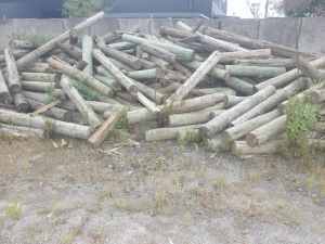 Assorted SED CCA H5 Treated Timber Pine Log Cut-Offs