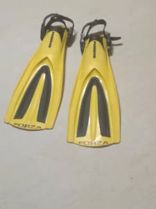 large flippers