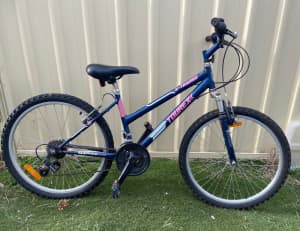 Childs 16 inch Mountain bicycle, Toure brand, Blue and pink. Holt F