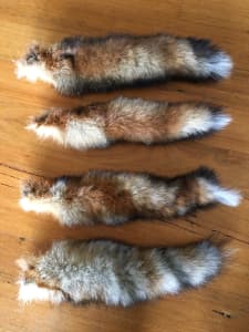 Fox Tails Genuine Real Tanned Decoration Man Cave Craft