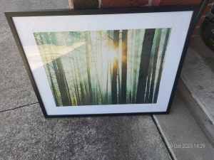 art of trees, reduced for quick sale