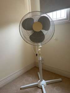 Second hand fan for sale（Removal sale)