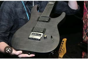 Wanted: I'll buy your Evertune guitar 
