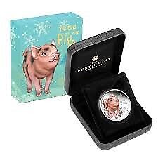 1/2oz silver coin Baby Lunar Pig , coloured proof