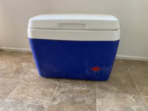 Willow 55 Litre esky in good Clean condition