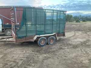 13 x 7 Tandem cattle crate trailer