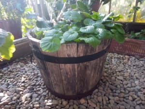 Vintage rustic wooden half barrel pot/planter.