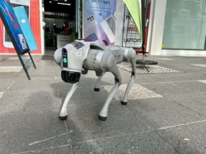 UNITREE Go2 Air Bionic Robot Dog Quadruped