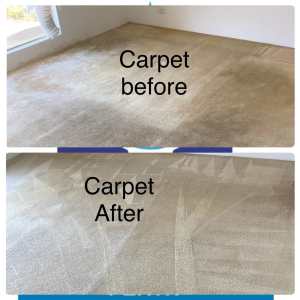 Special 3 bedroom carpet cleaning $99