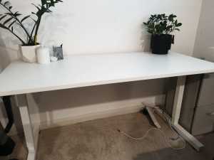 White height adjustable desk