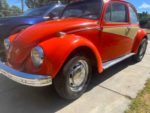 1968 VW beetle
