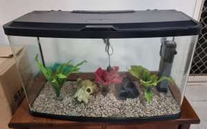 Fluval Curve Fish Tank Aquarium 60l or 87l