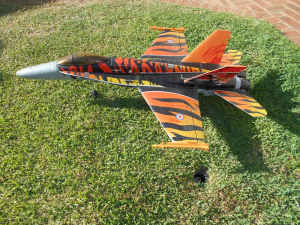 F18 Hornet flying model