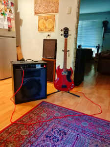 Electric Bass Guitar and Bass Guitar Amplifier Combo