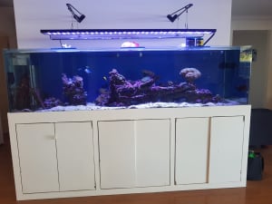 8ft Marine Aquarium Complete System