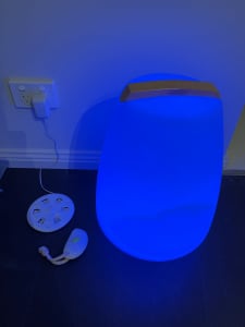 LED multi-colour rechargeable egg light with remote control. 40cm high