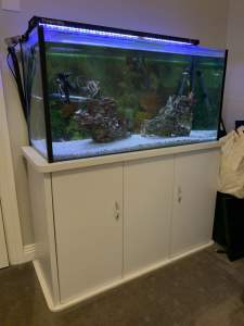 3 foot fish tank with stand and all equipment