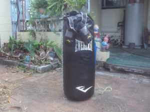 Everlast Punching Bag with set of wraps plus chain ....