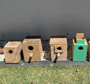 Bird nest boxes